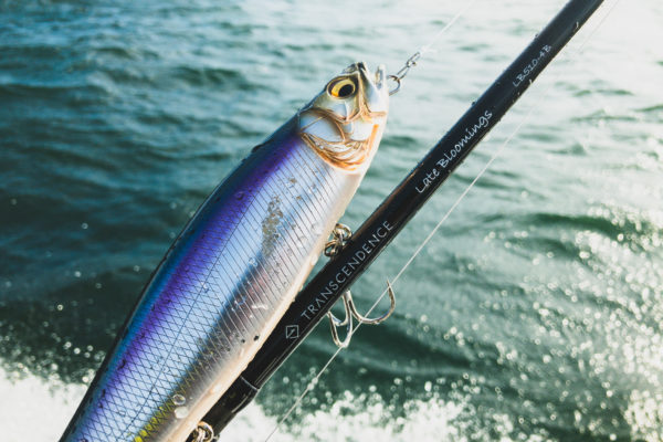 お悩み解決！下巻き問題におさらばするPEライン“ショアマスター”