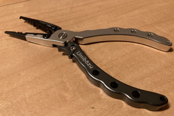 荒川 温排水でバス釣り