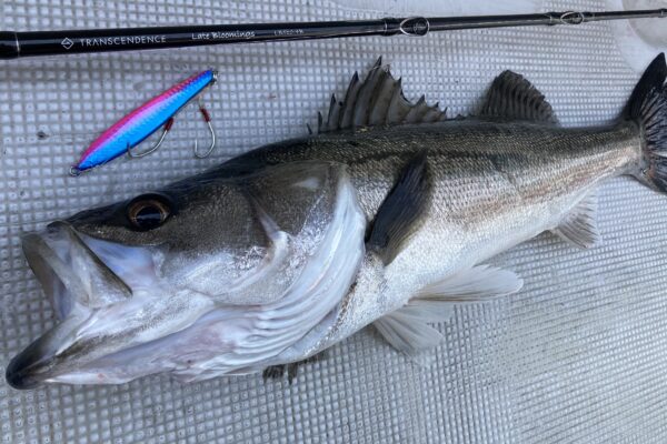 荒川 温排水でバス釣り