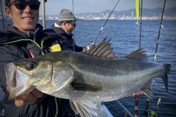 A8F78CC4-338A-4FAC-8EF1-A75C11508041